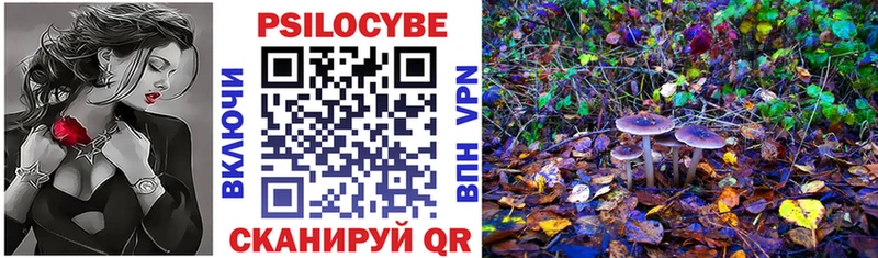 Галлюциногенные грибы Psilocybe Рыльск